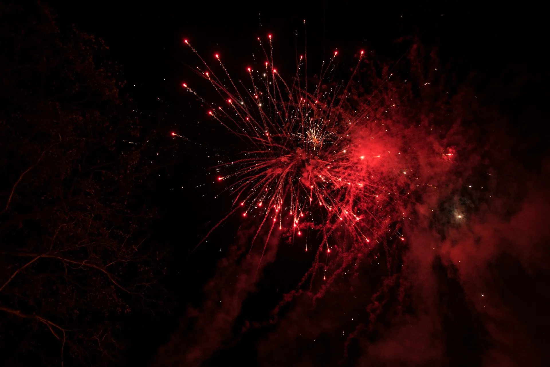 Explosión de fuegos artificiales rojos en la noche.